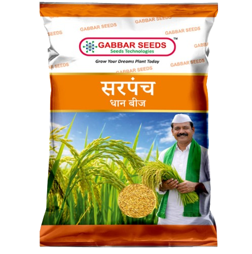 Sarpanch-Dhaan-Beej